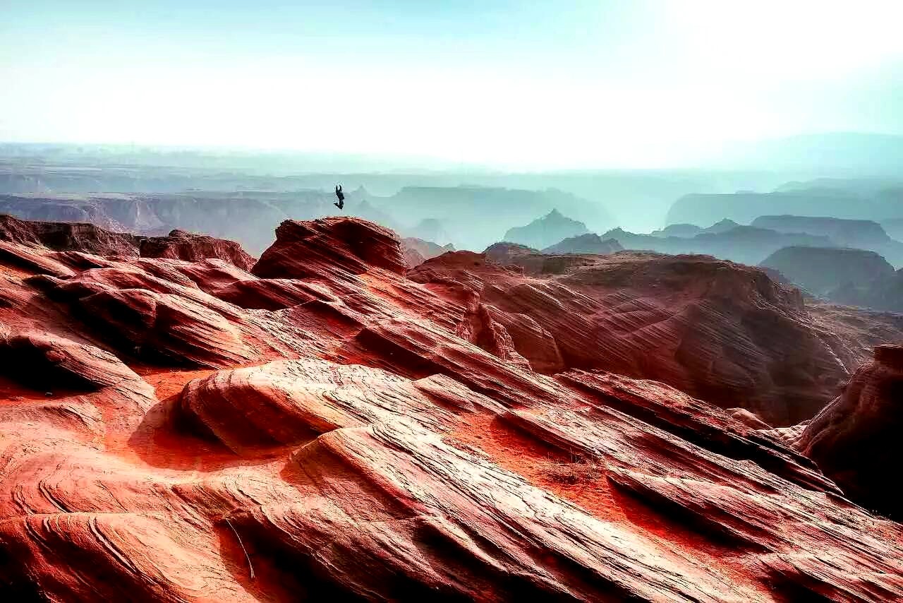 1499337036197358.jpg