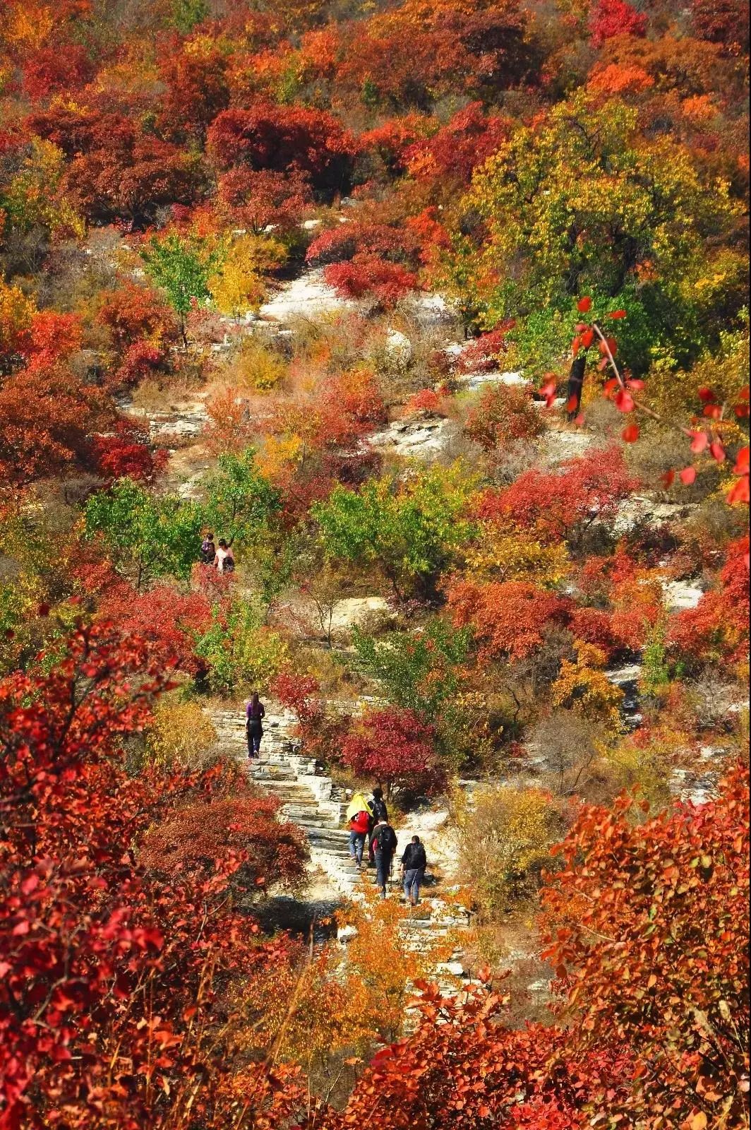 微信图片_20181009220159.jpg