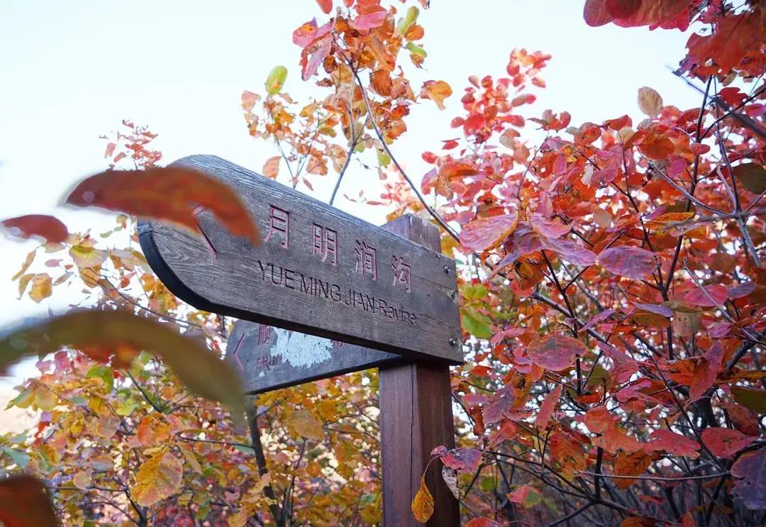 微信图片_20201019164014.jpg