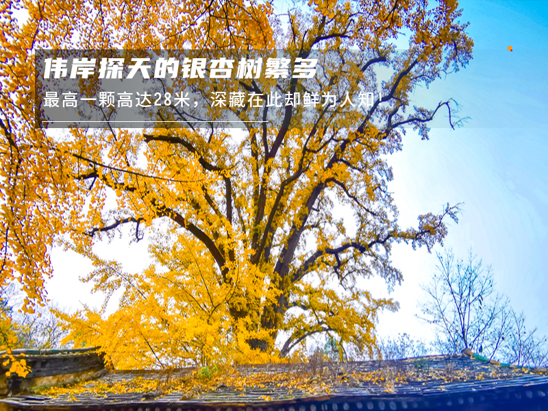 ★印象细图F2.jpg