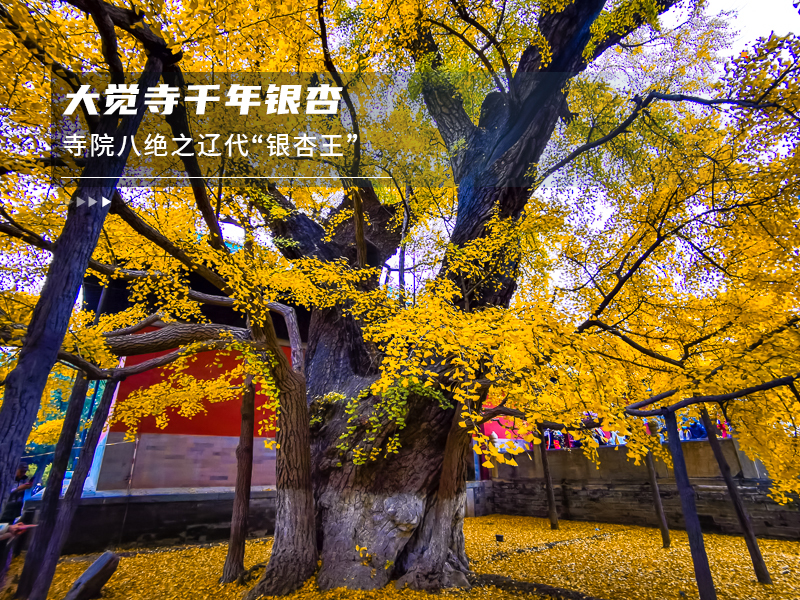 ★印象细图F1.jpg