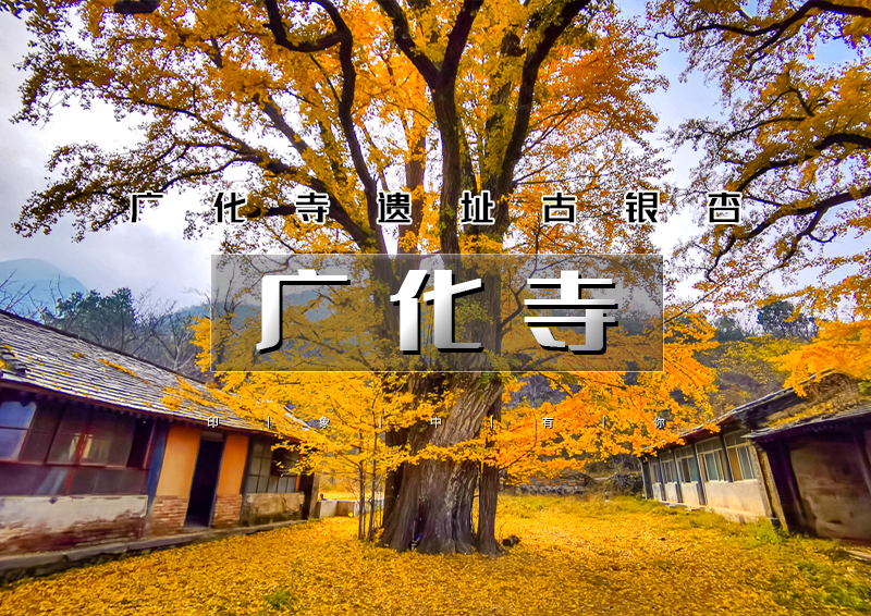 ▌▌印象头图.jpg