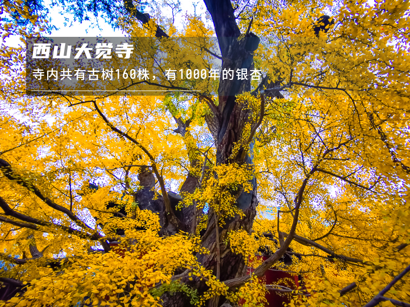 ★印象细图F2.jpg