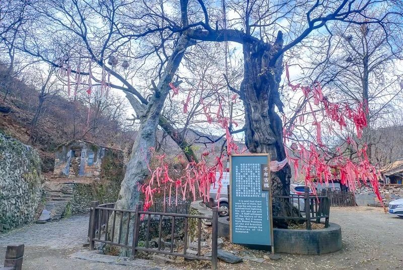 微信图片_202211122301263.jpg
