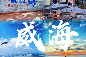 【元旦 3 天•邂逅威海天鹅】一半山海一半浪漫・网红打卡纯玩团