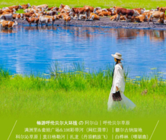 【端午7天•呼伦贝尔草原】畅游呼伦贝尔大环线の阿尔山-呼伦贝尔草原-满洲里-额尔古纳-莫日格勒河-扎龙丹顶鹤放飞