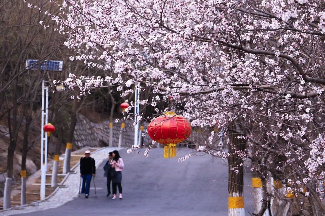 1647314661918621.jpg 3.jpg