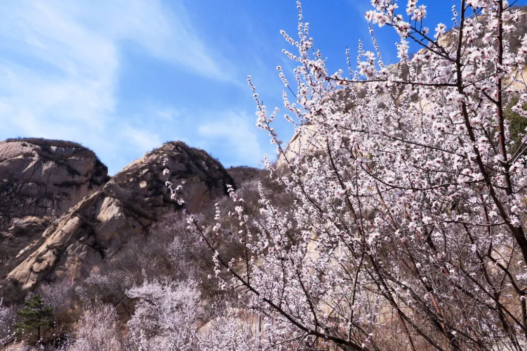 1647315312450363.jpg 5.jpg