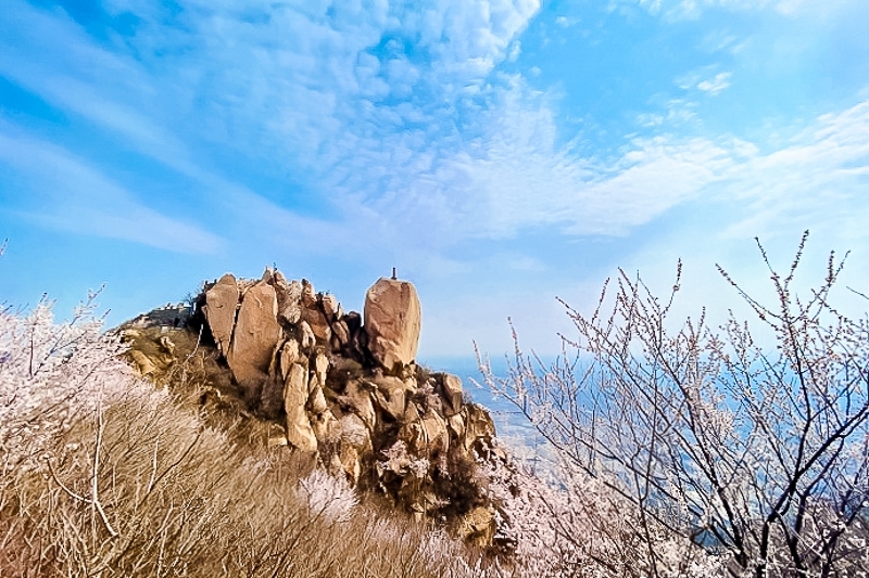 1647315325478976.jpg 1615731653_R8GZWyv7_conew1.jpg