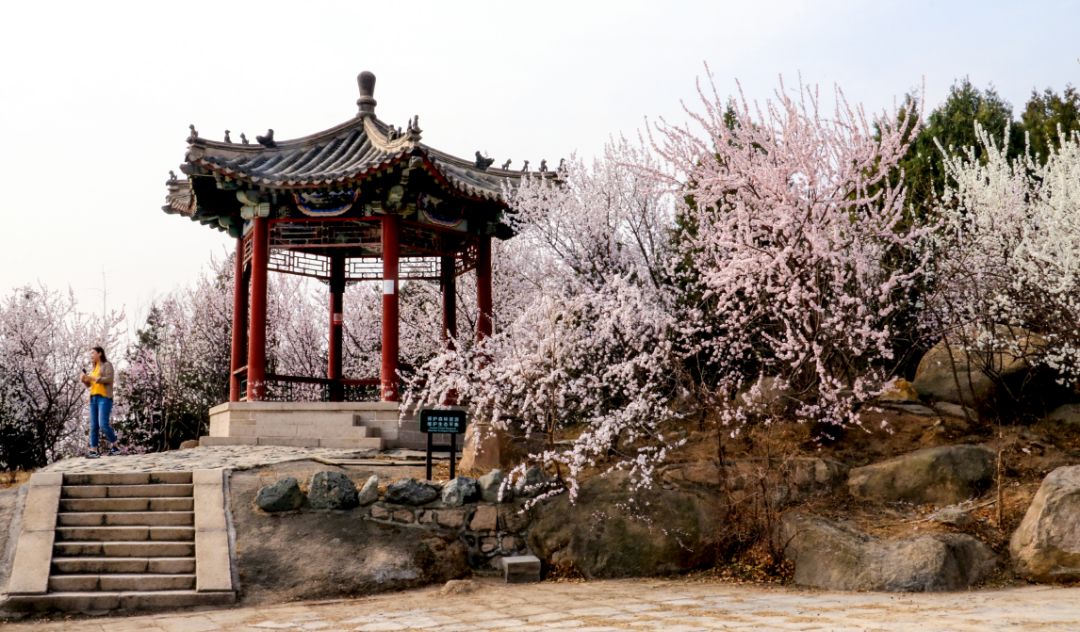 1647315337871840.jpg 4.jpg