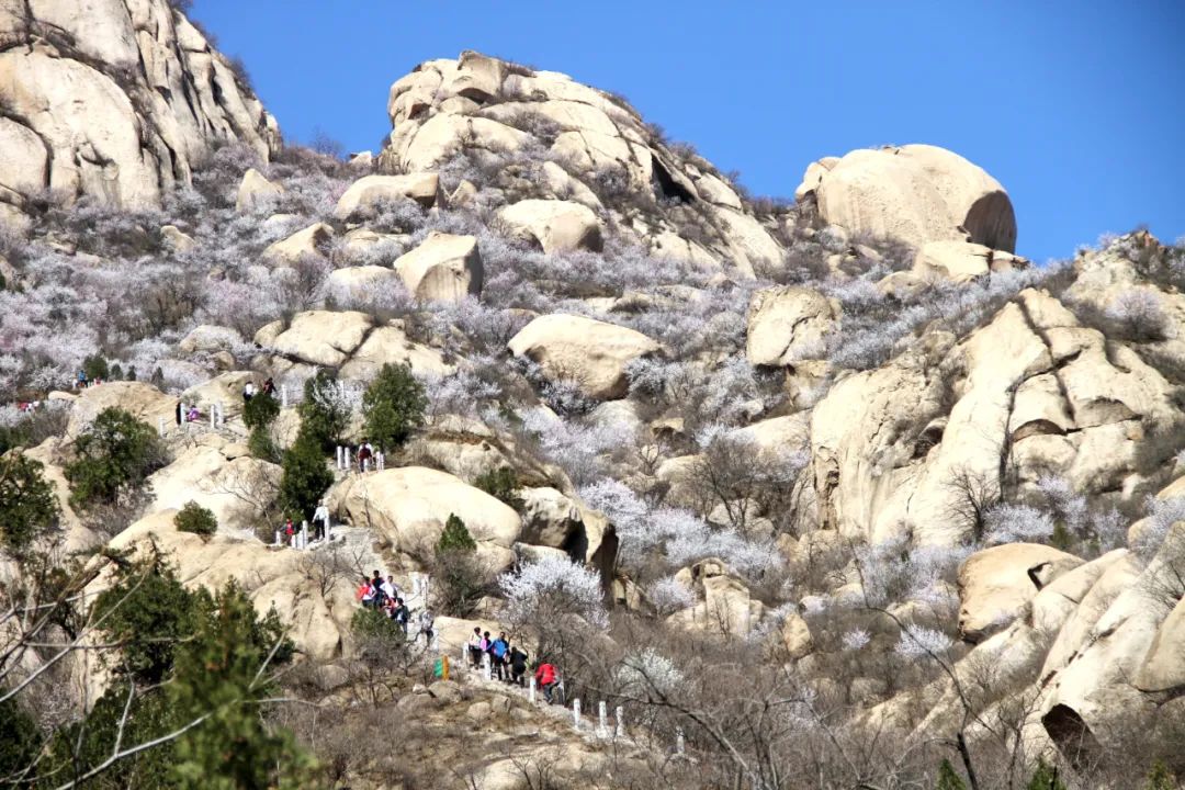 1647315359775047.jpg 1.jpg