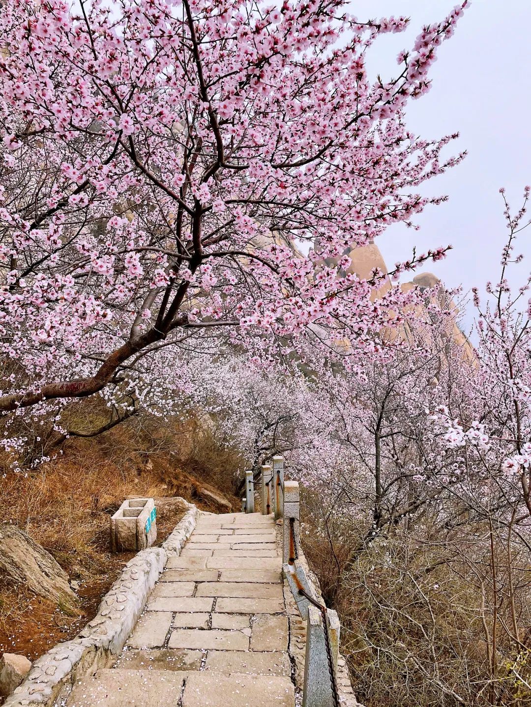 1647315437597223.jpg 6.jpg