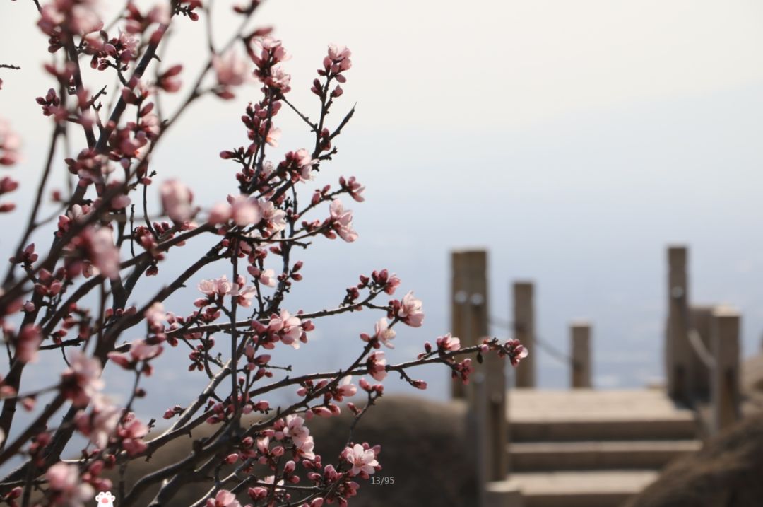 1647315397905541.jpg 9.jpg