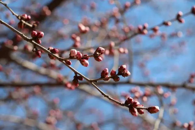 1647315407712777.jpg 12.jpg