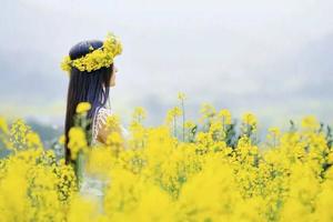 【三月花季•婺源全景】中国最美乡村の赏江岭梯田油菜花-品徽州古村浓郁文化