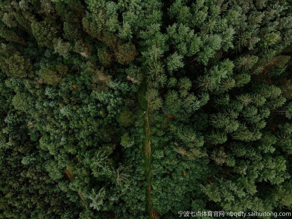 william-hope-1081265-unsplash