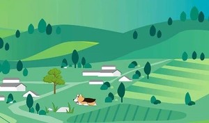 2025年宁波市美丽乡村健身行（北仑站）——春晓街道“山海运动和美乡村”健步走活动