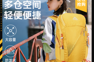 【限时大促】Aione艾王36L户外经典登山徒步露营三日短中线徒步背包1713A