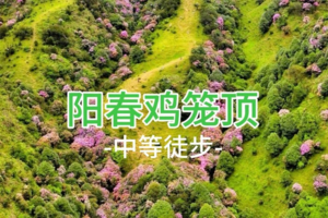 成团，特价198起！夜爬阳春鸡笼顶看日出，打卡粤西最美大草原，赏数千亩高山杜鹃花，周六出发