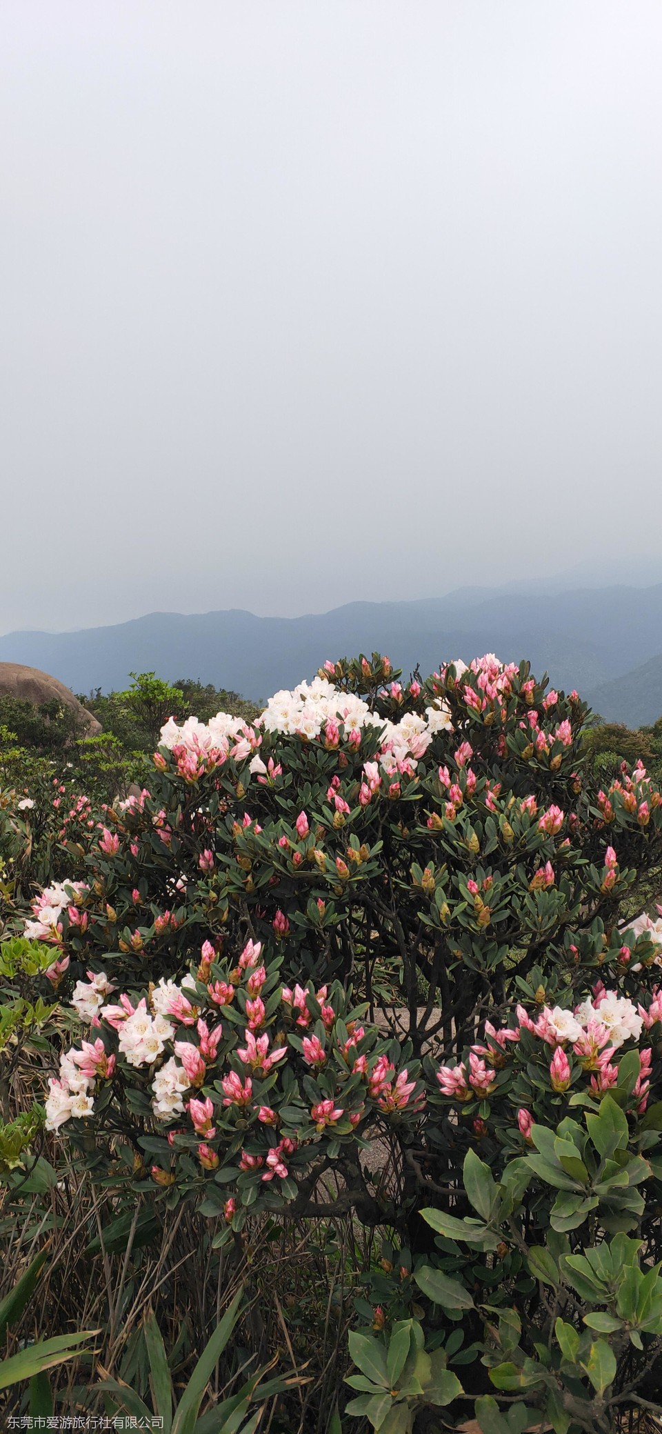 微信图片_20210404211948