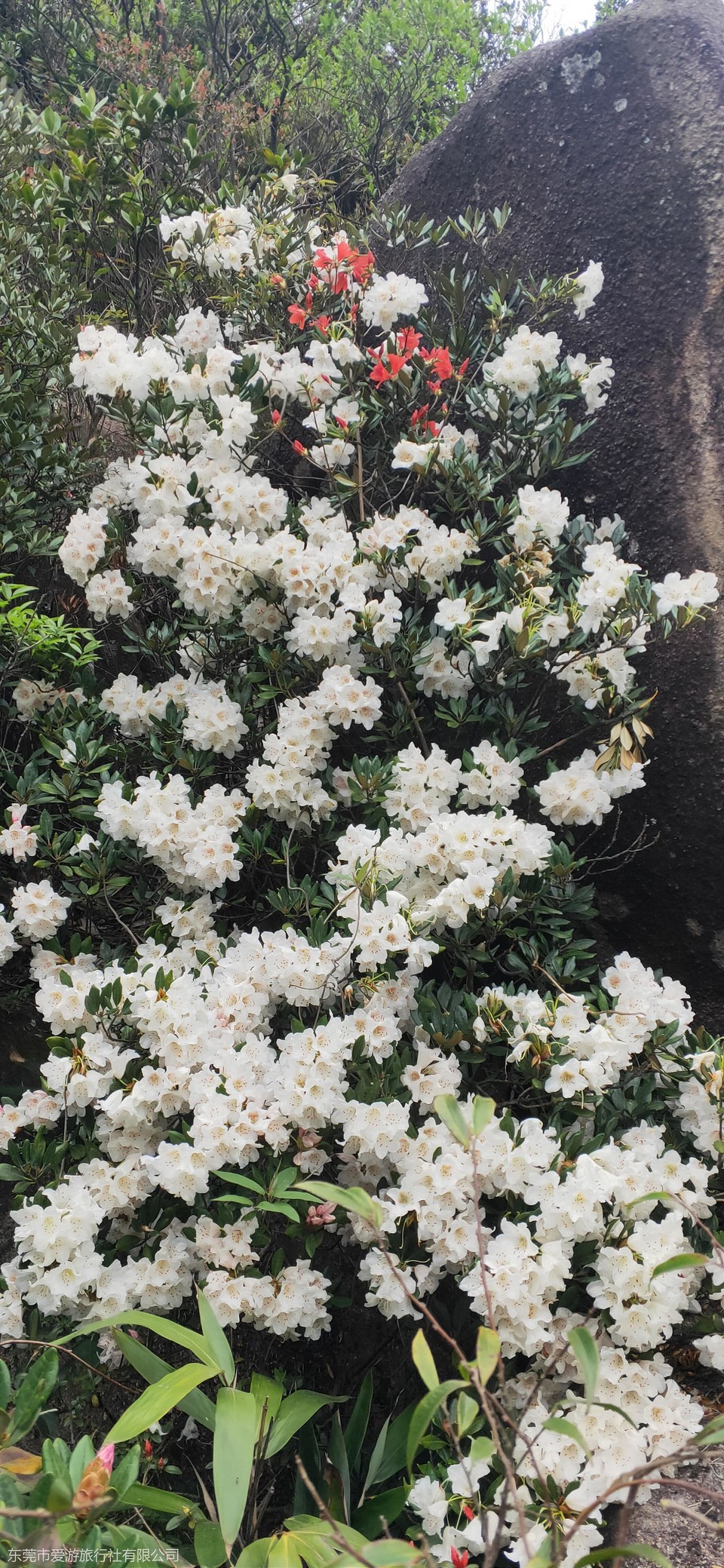 微信图片_20210404212029