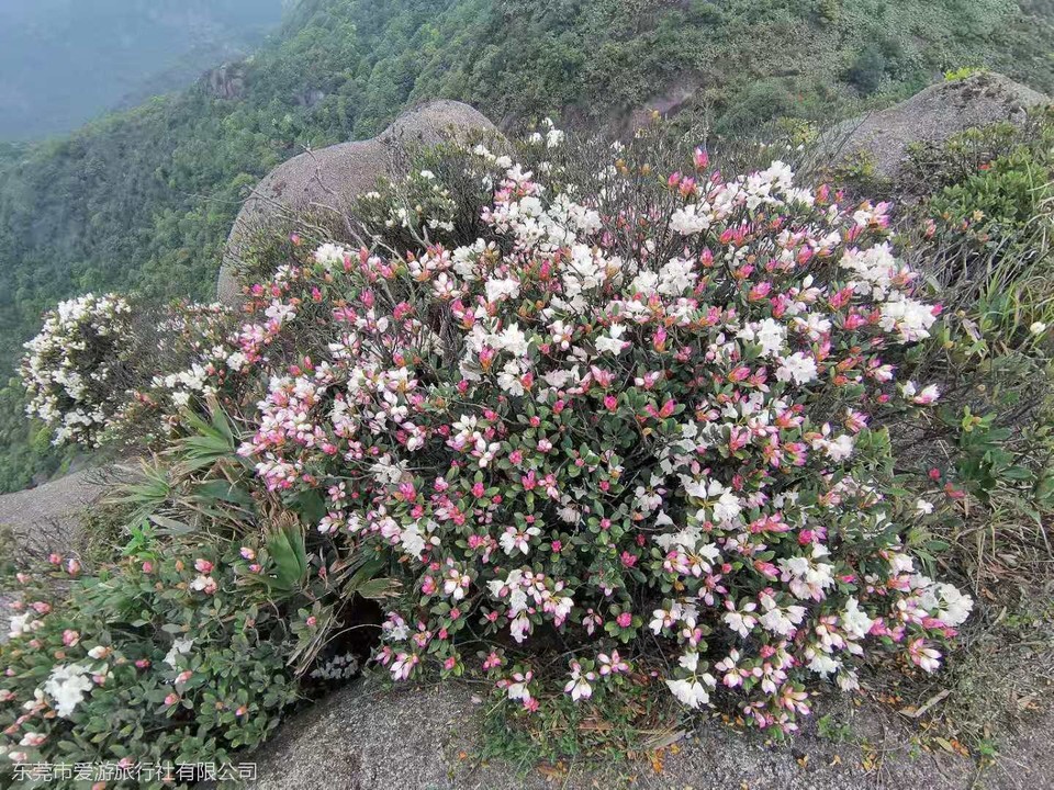 微信图片_20210404212209