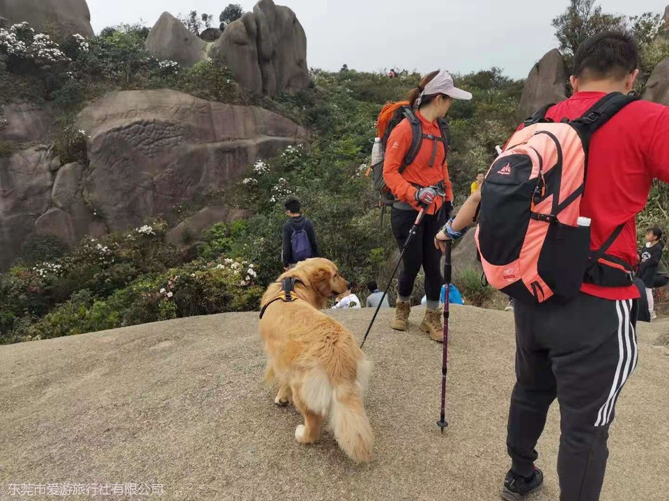 微信图片_20210404212403