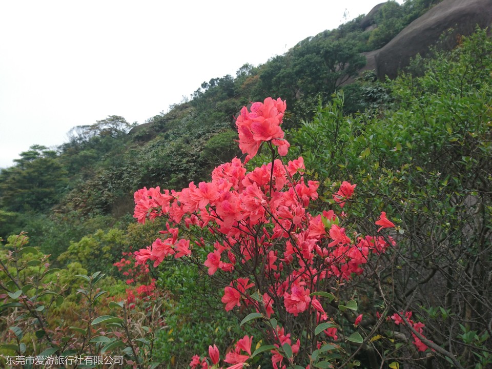 微信图片_20210404212822