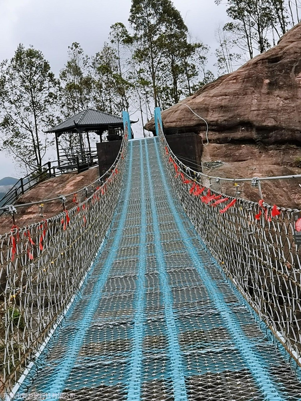 IMG_20210321_125706_mh1616311022729