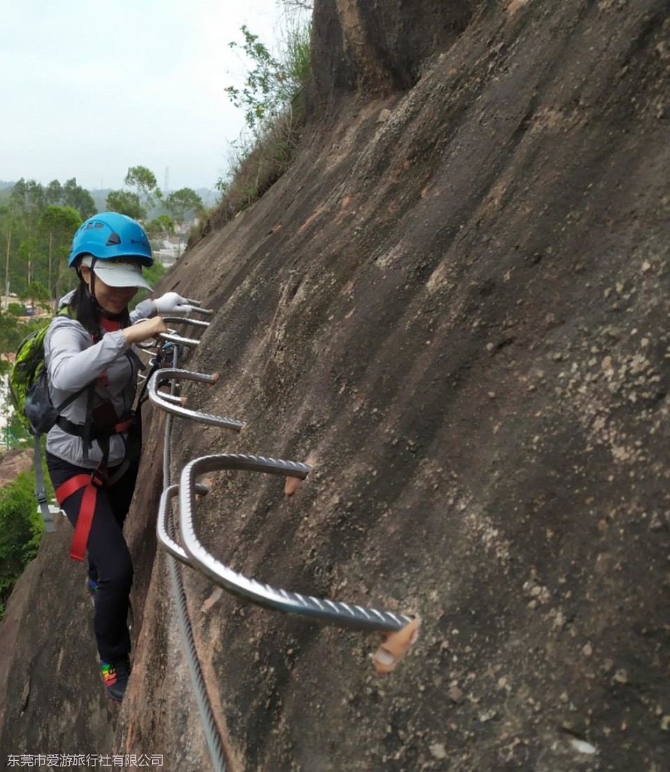 mmexport1616373494176