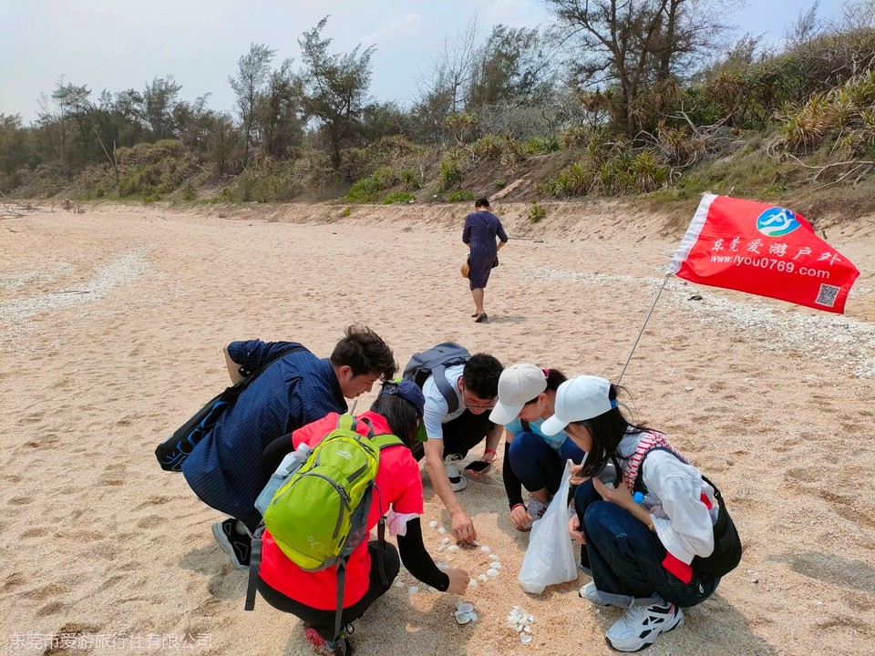 mmexport1616925779134