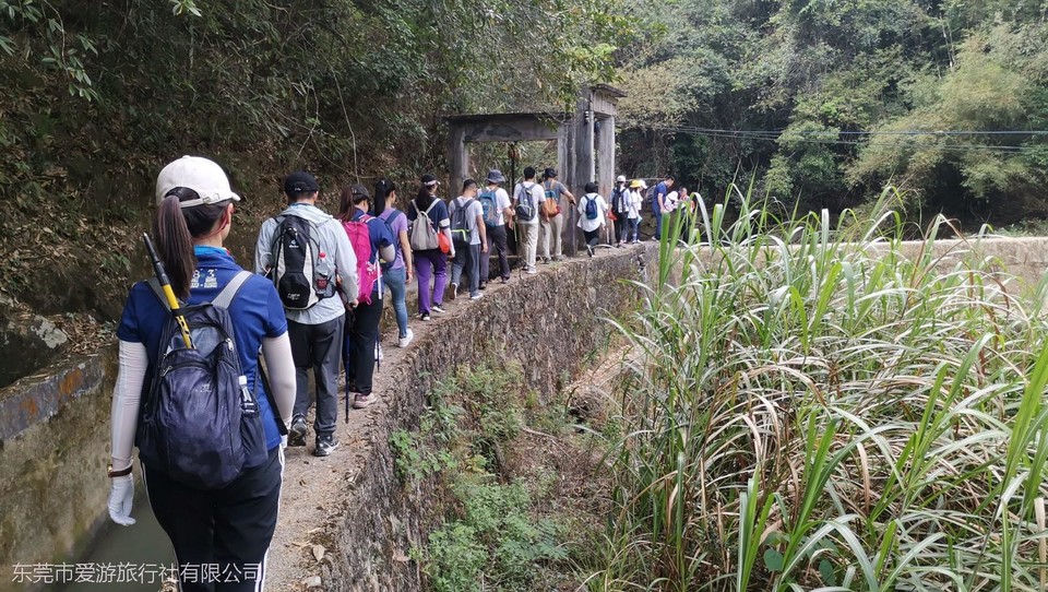 mmexport1617671331061