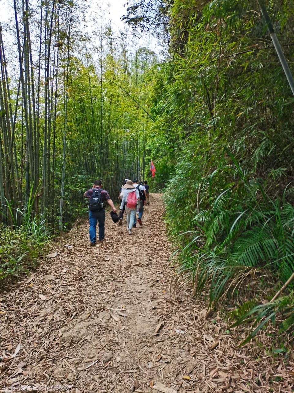 mmexport1617671233276