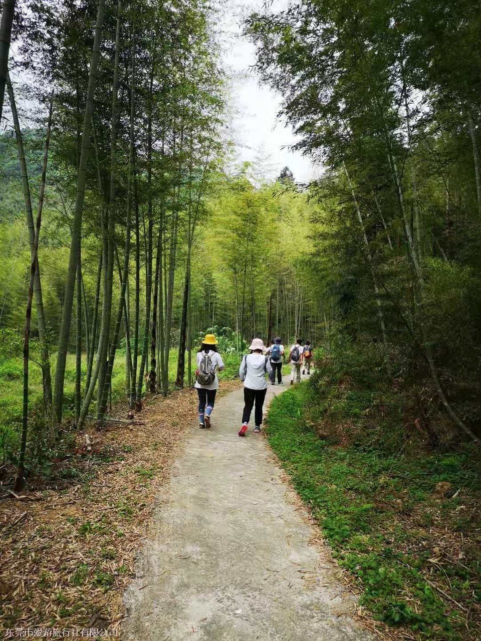 mmexport1617671209813