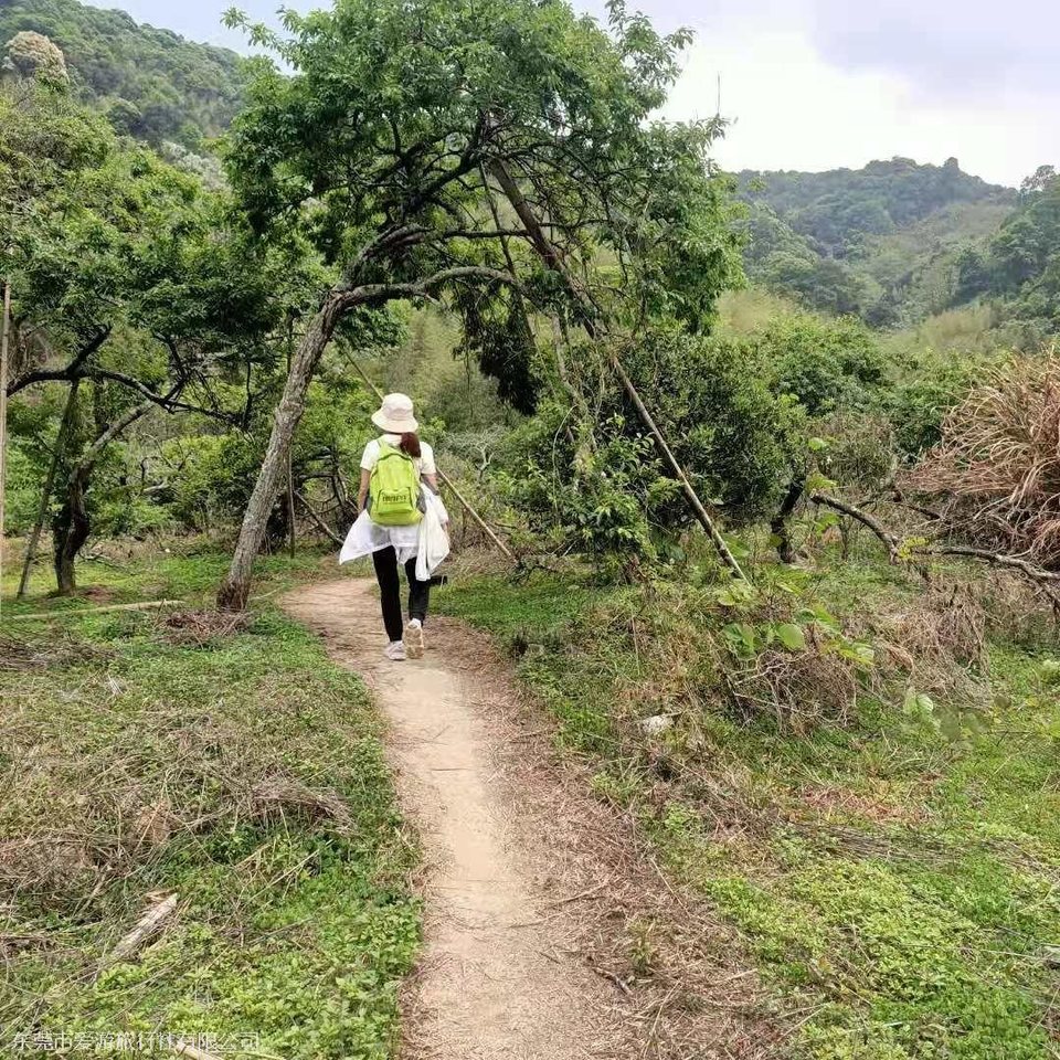 mmexport1617671193443