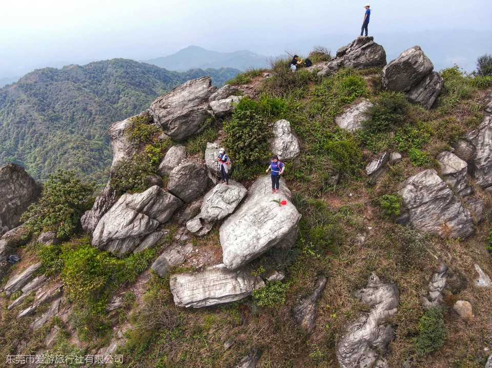 mmexport1618133769268