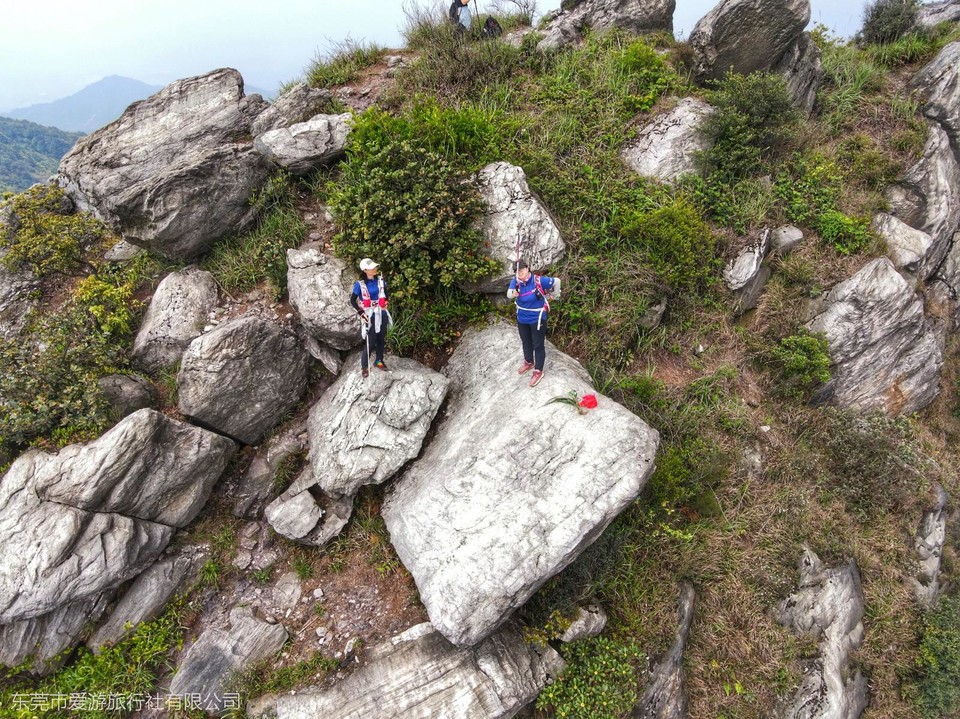 mmexport1618133741355