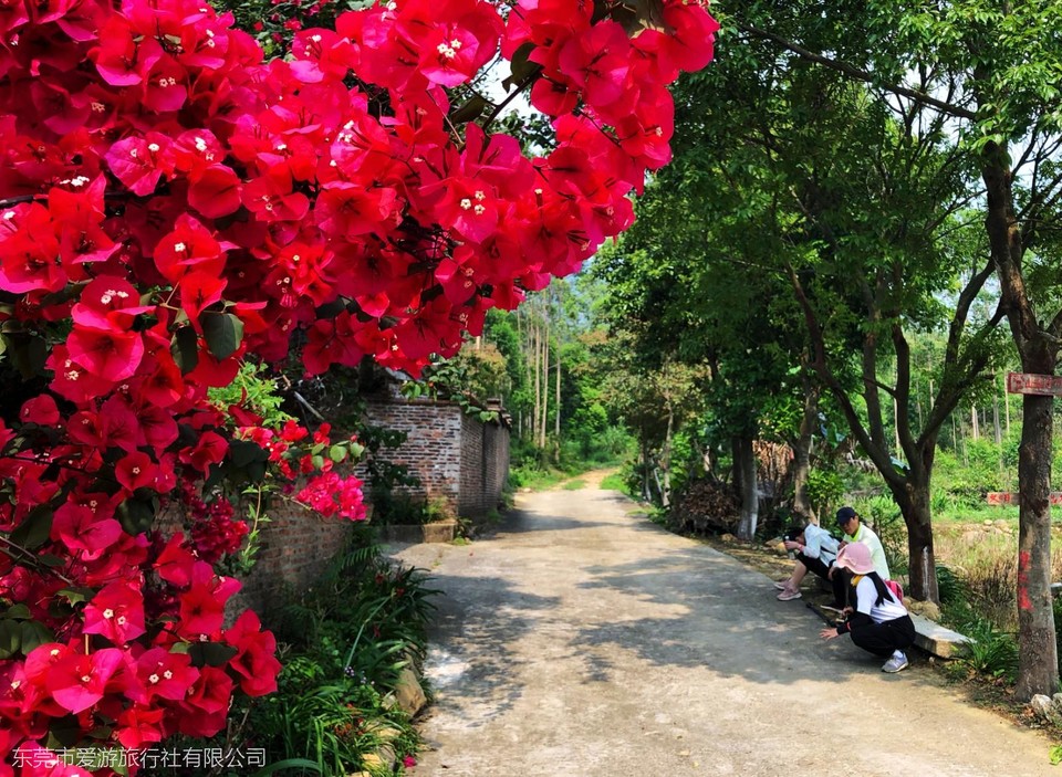 mmexport1618131518359