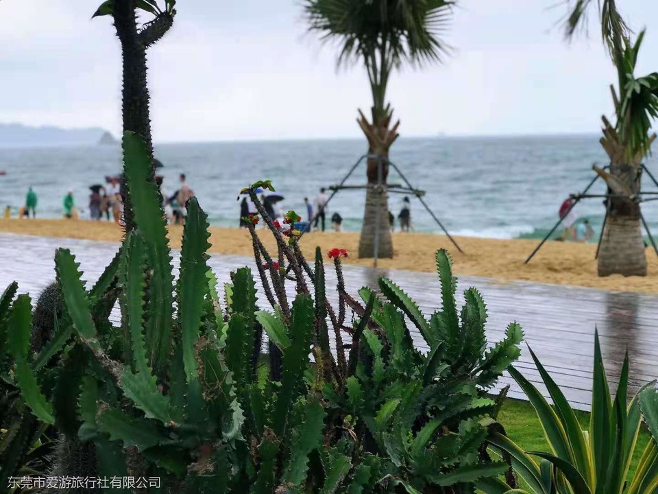 微信图片_20210510102851