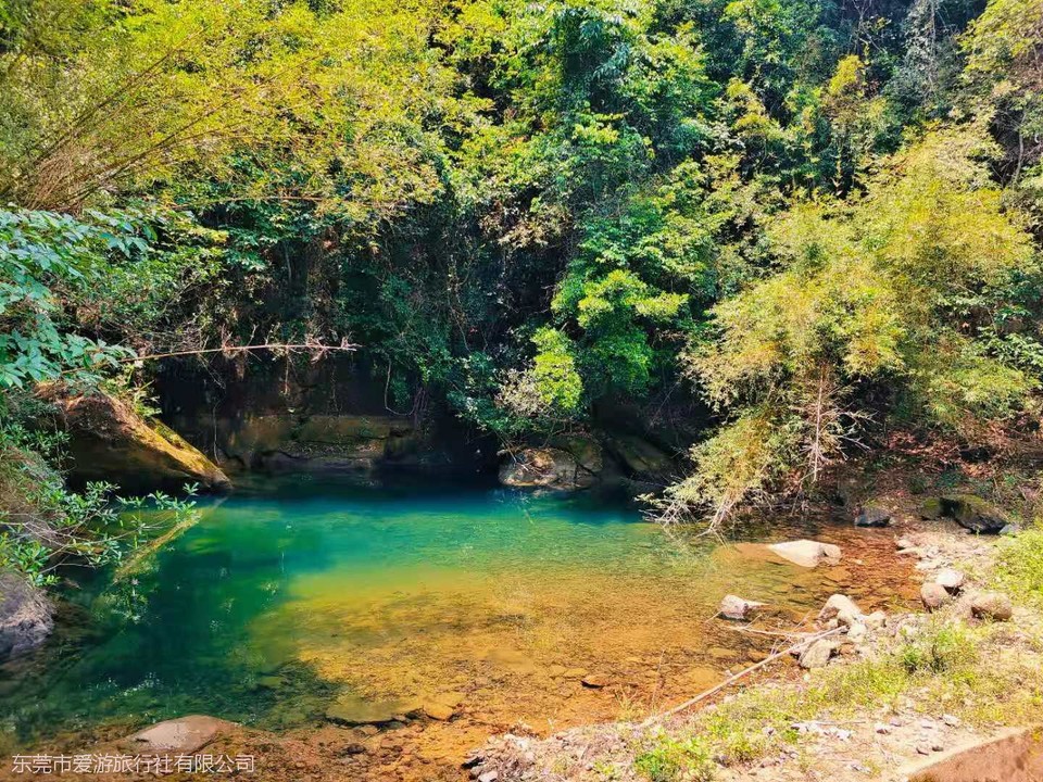 微信图片_20210510103255