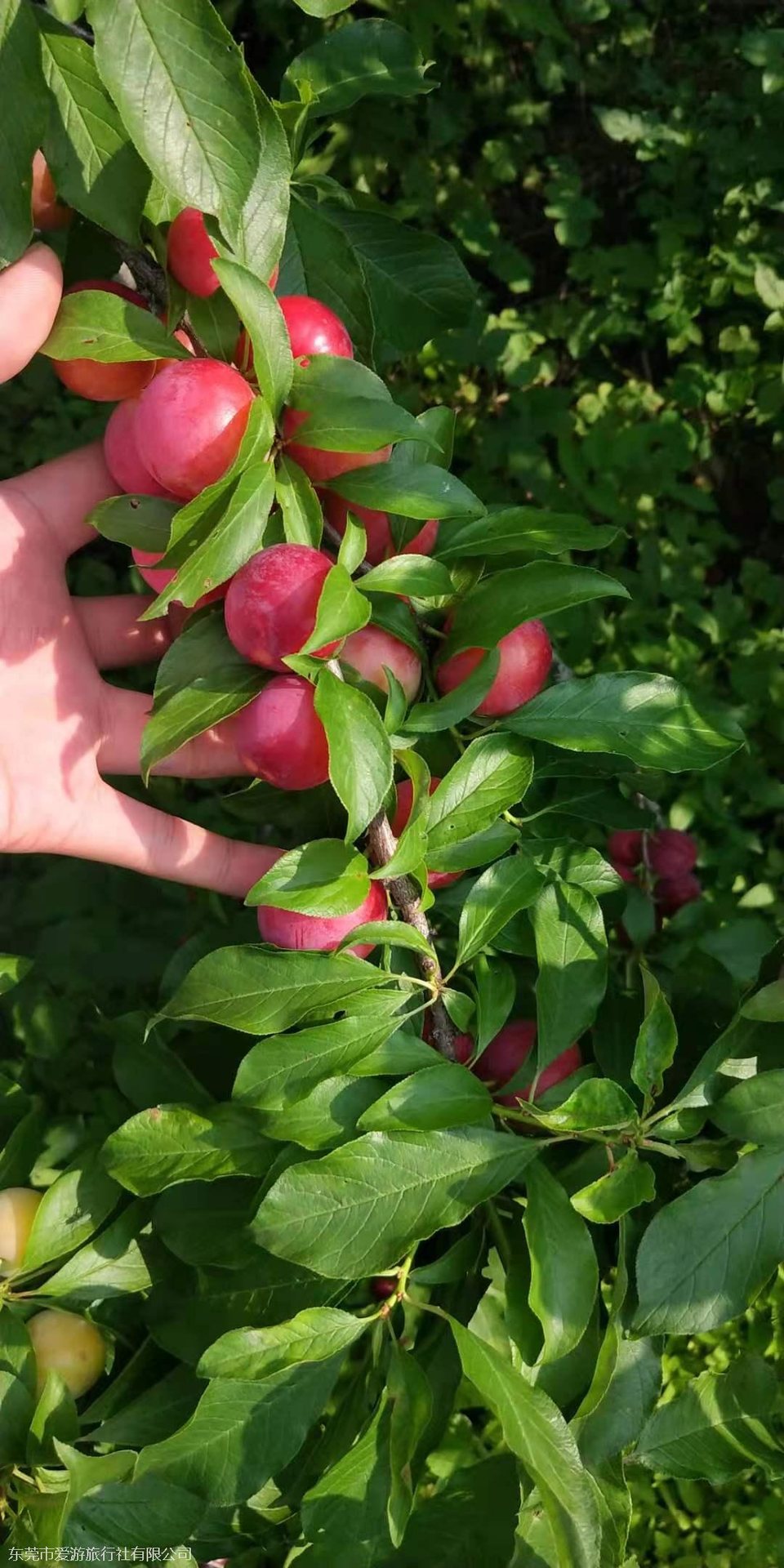 微信图片_20210510103301