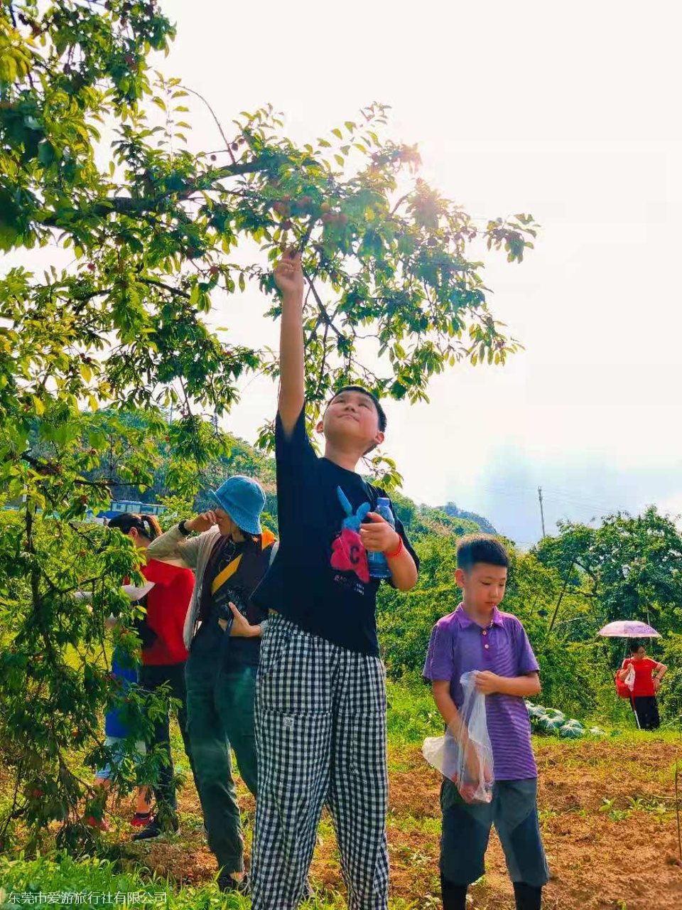 微信图片_20210510103327