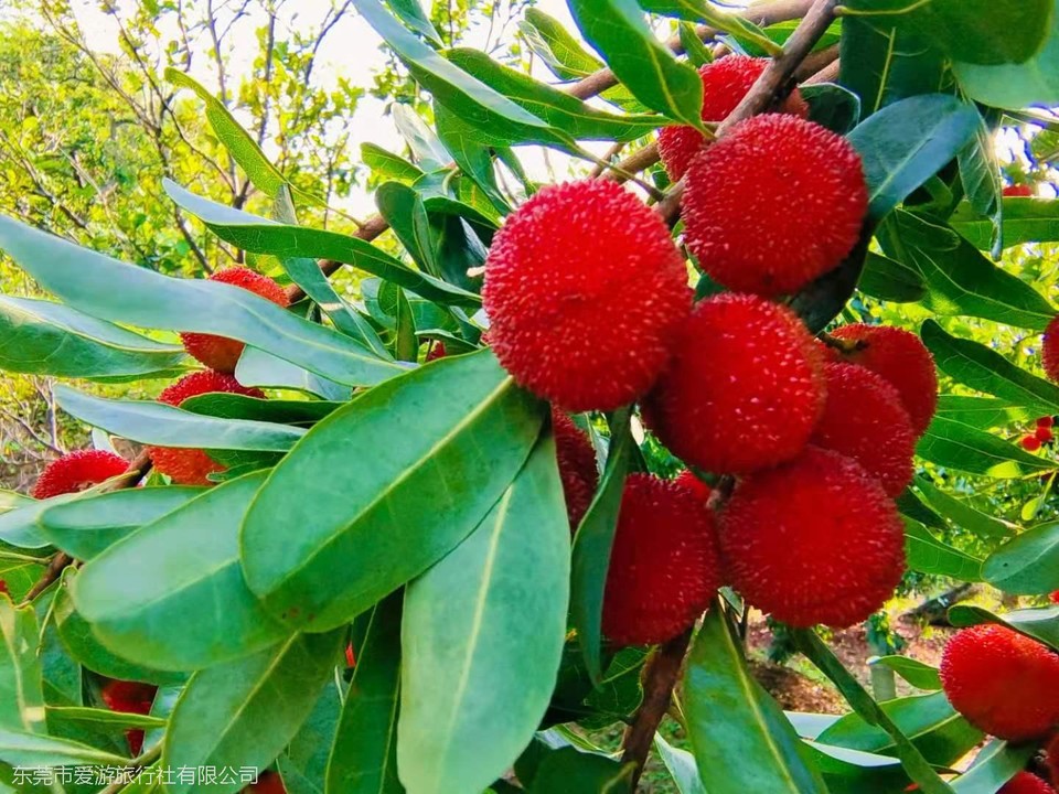 微信图片_20210510103332