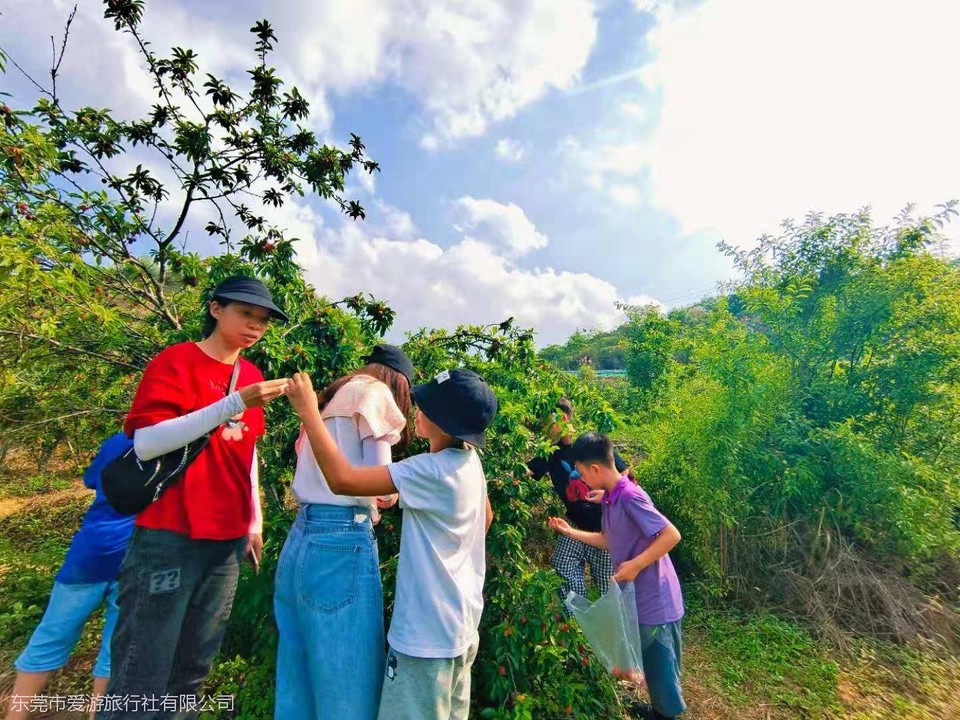 微信图片_20210510103336