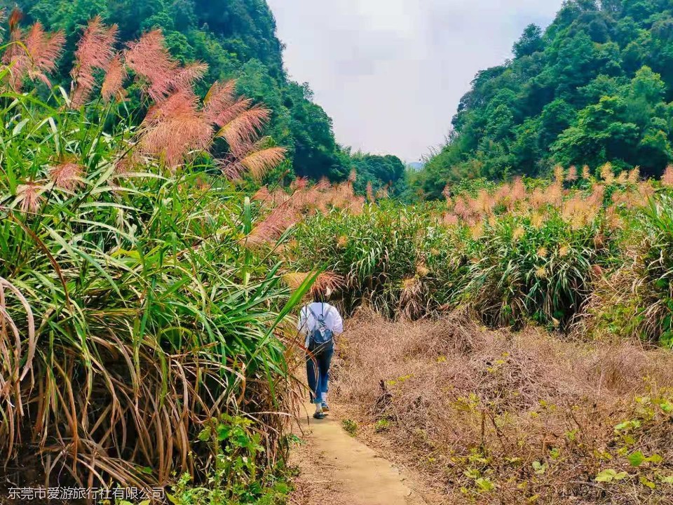 微信图片_20210510103341