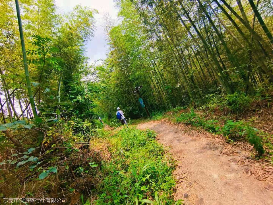 微信图片_20210510103345