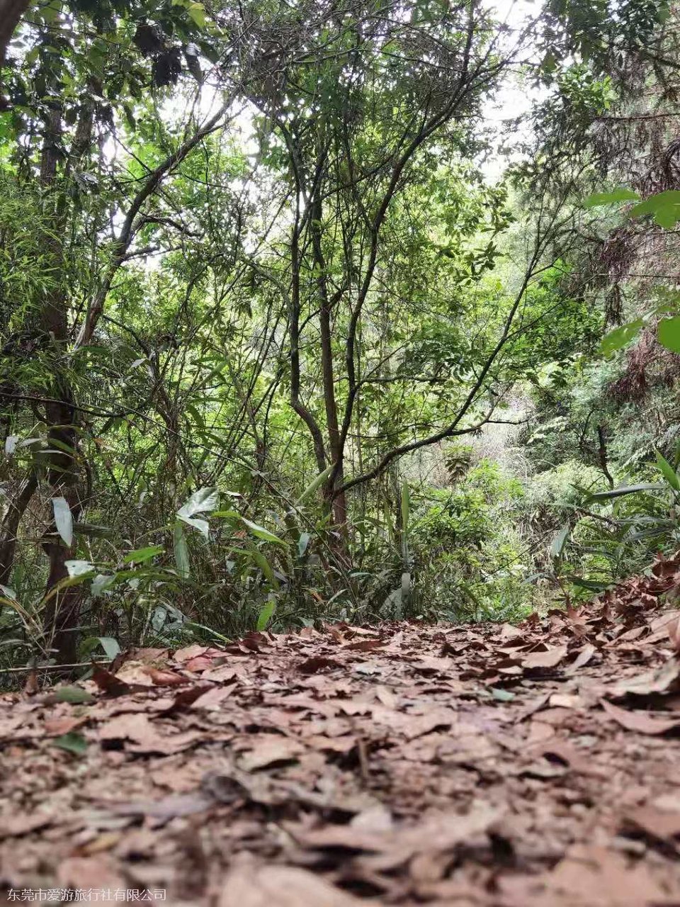 微信图片_20210510103403