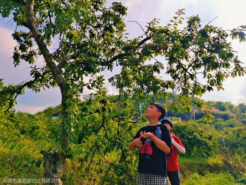 微信图片_20210510103446