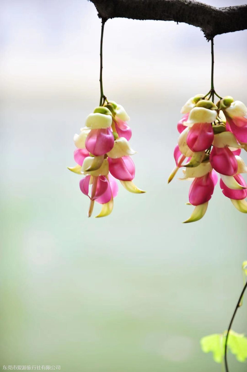 微信图片_20210319144150