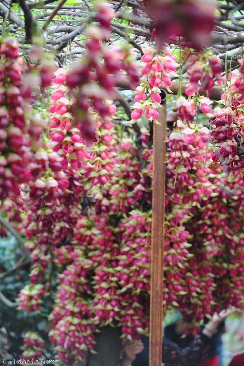 微信图片_20210319144212